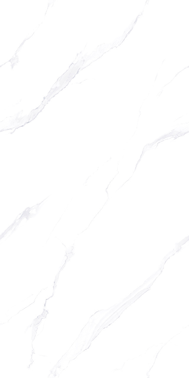 ZA-L12614 На пол Lande 614 PR 1200x600x9 - фото 3