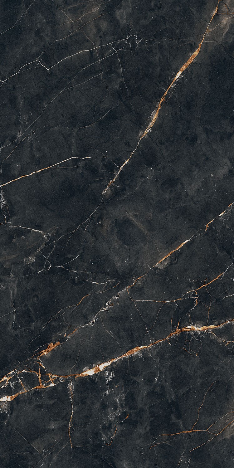 PP-01-233-1198-0598-1-062 На пол Shinestone Black Pol 119.8x59.8 - фото 3
