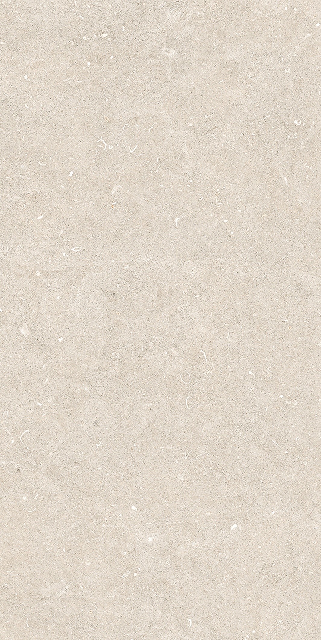 785574 На пол Rinascenza Arena Bianco Antico Matte 6mm 60x120 - фото 8