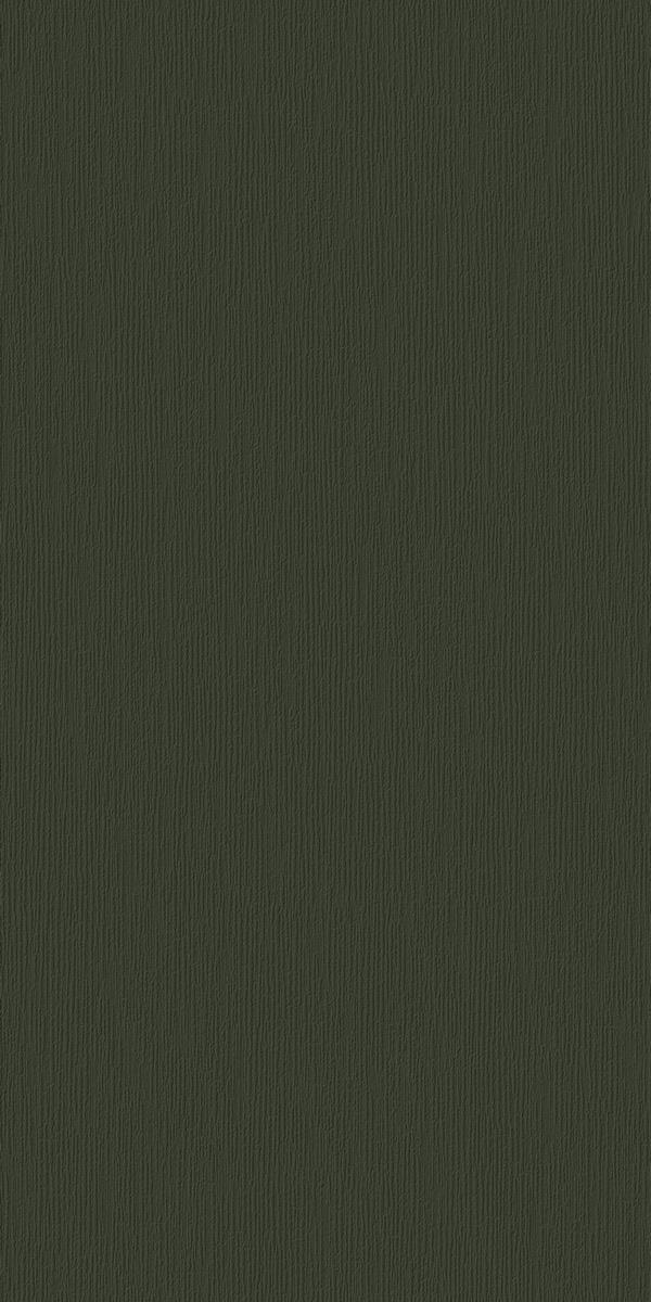 N100154 Декор Monotone Оливе Д1 Матовый 60x120