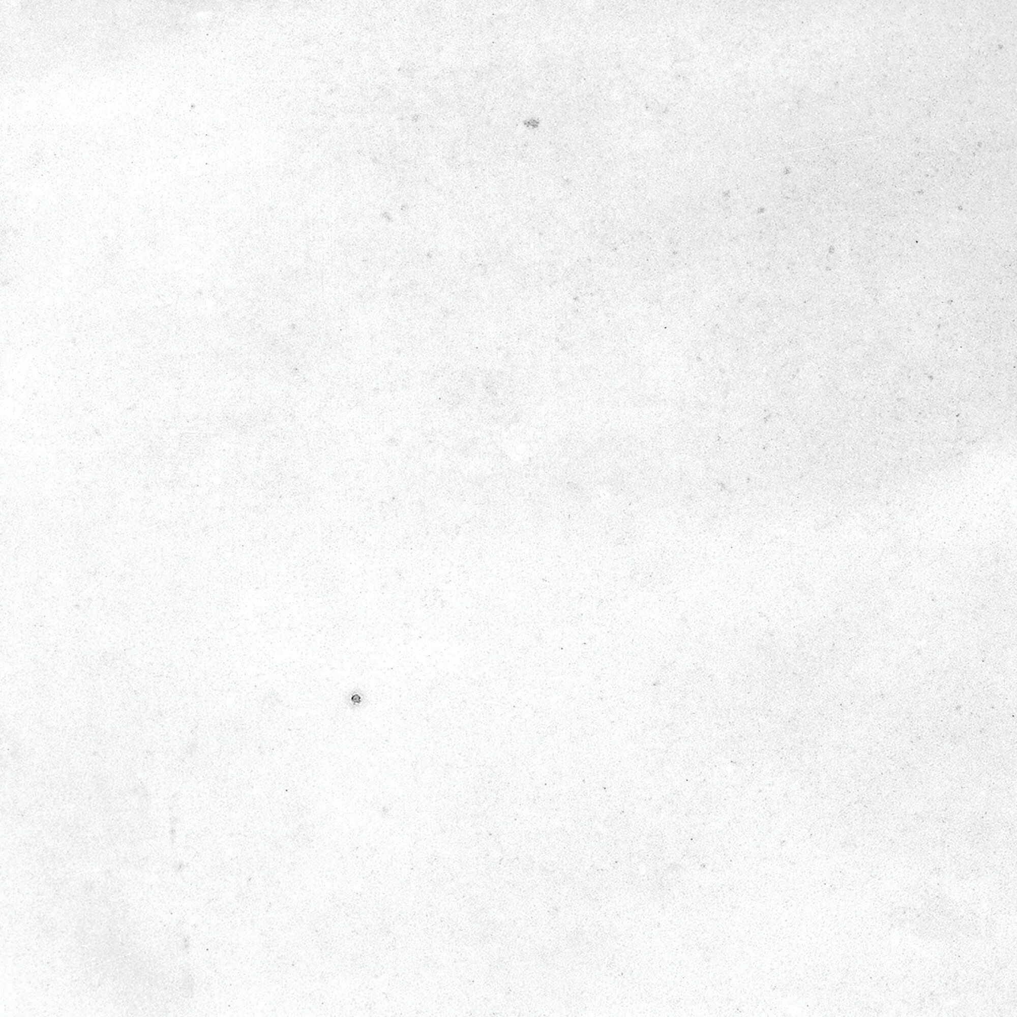 40850 На стену Afra White/R 10.7x10.7 - фото 14