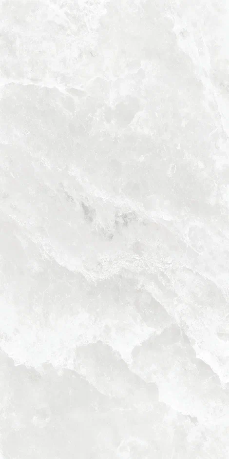 QI612S4090M  На пол Elf Stone Polish 60x120 - фото 4