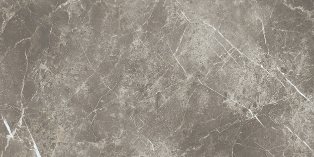 ECC2 На пол Elements Lux Persian Grey Silk RT 60x120 - фото 2