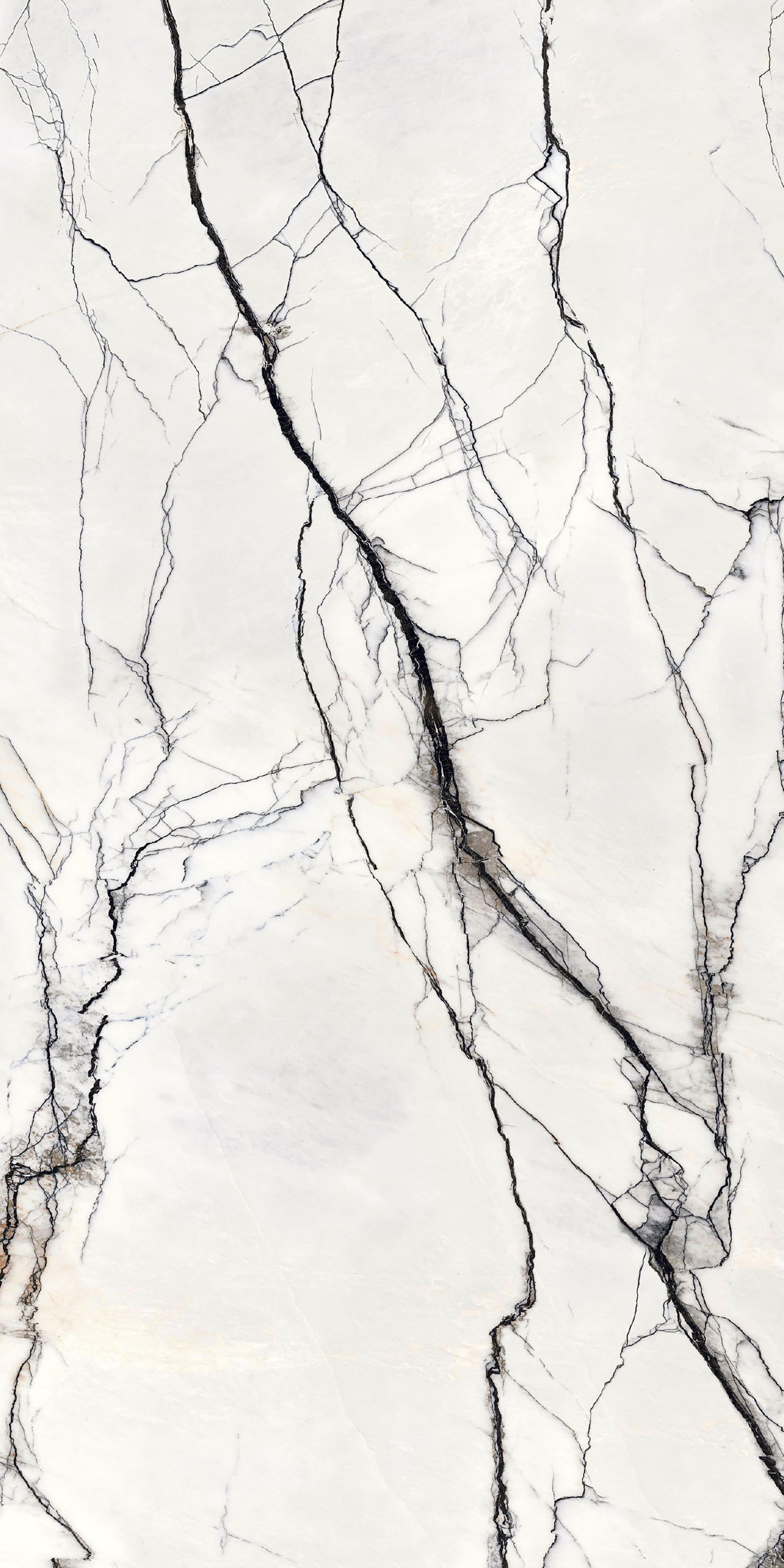 765503 На пол B and W Marble Breach High-Glossy 6mm 160x320 - фото 3