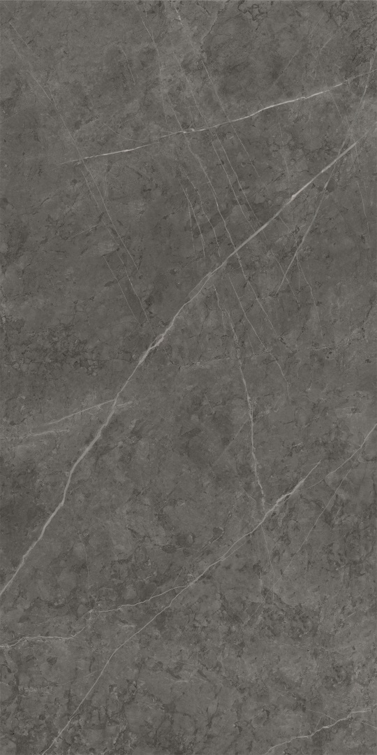 610010001414 На пол Charme Evo Floor Project Антрачит 60x120 Натуральный и Реттифицированный - фото 6
