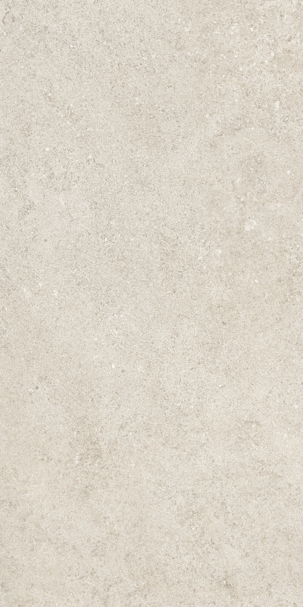 36902 На пол Cluny Beige 4D/50X100X2/A/R 50x100