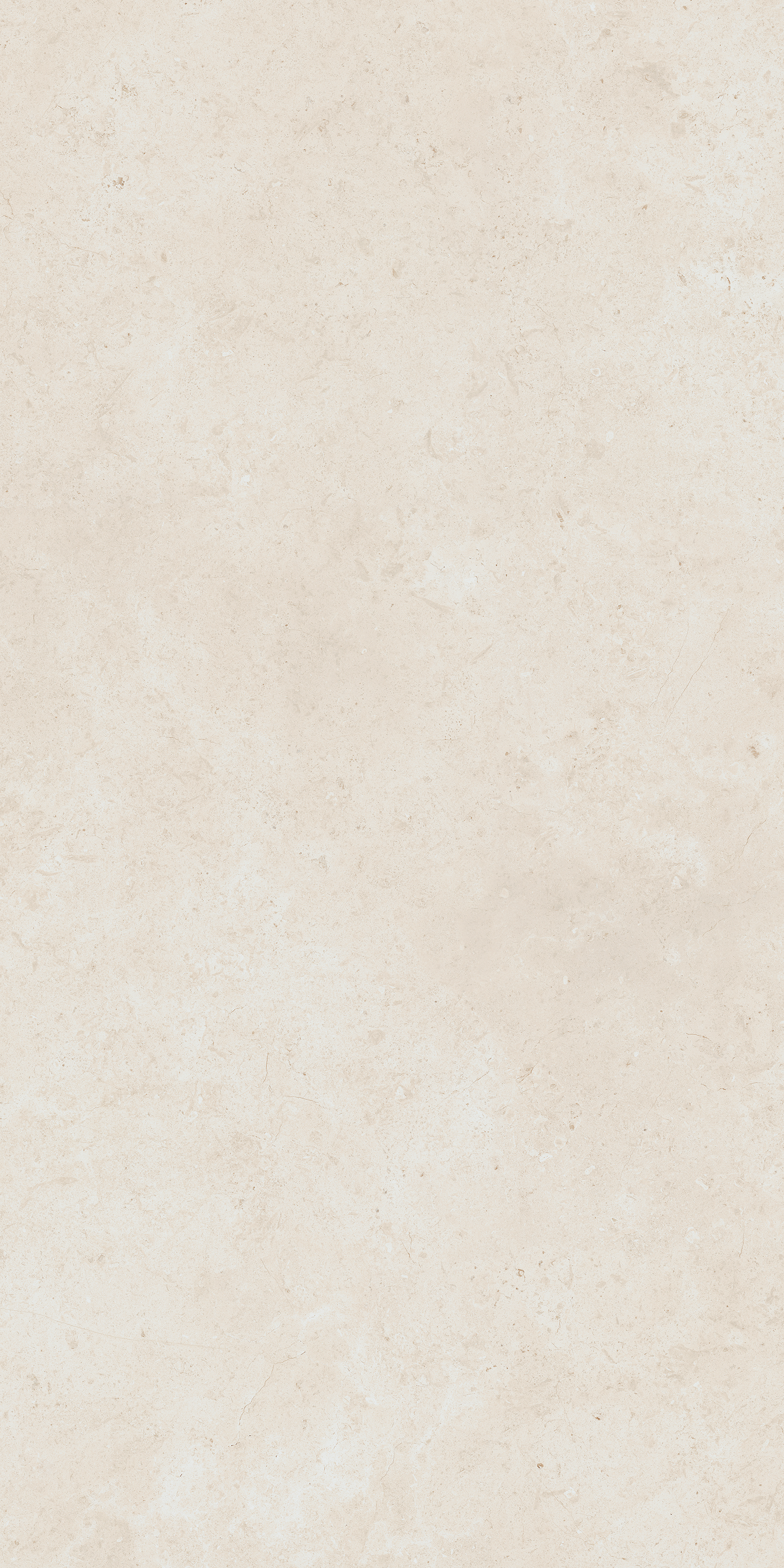 610010004097 На пол Fossil Pure Nat Ret 60x120 - фото 2