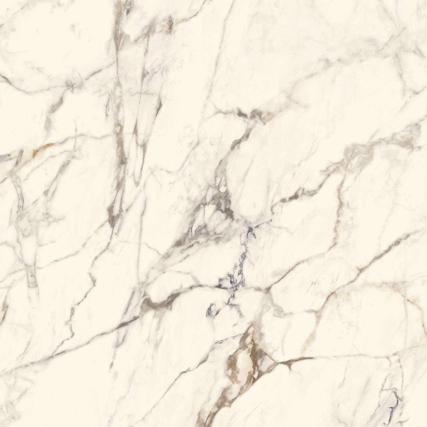 100331028 На стену Calacata Gold Silk 120x120