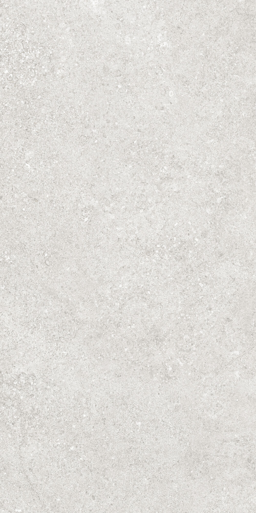 36904 На пол Cluny Silver 4D/50X100X2/A/R 50x100 - фото 20