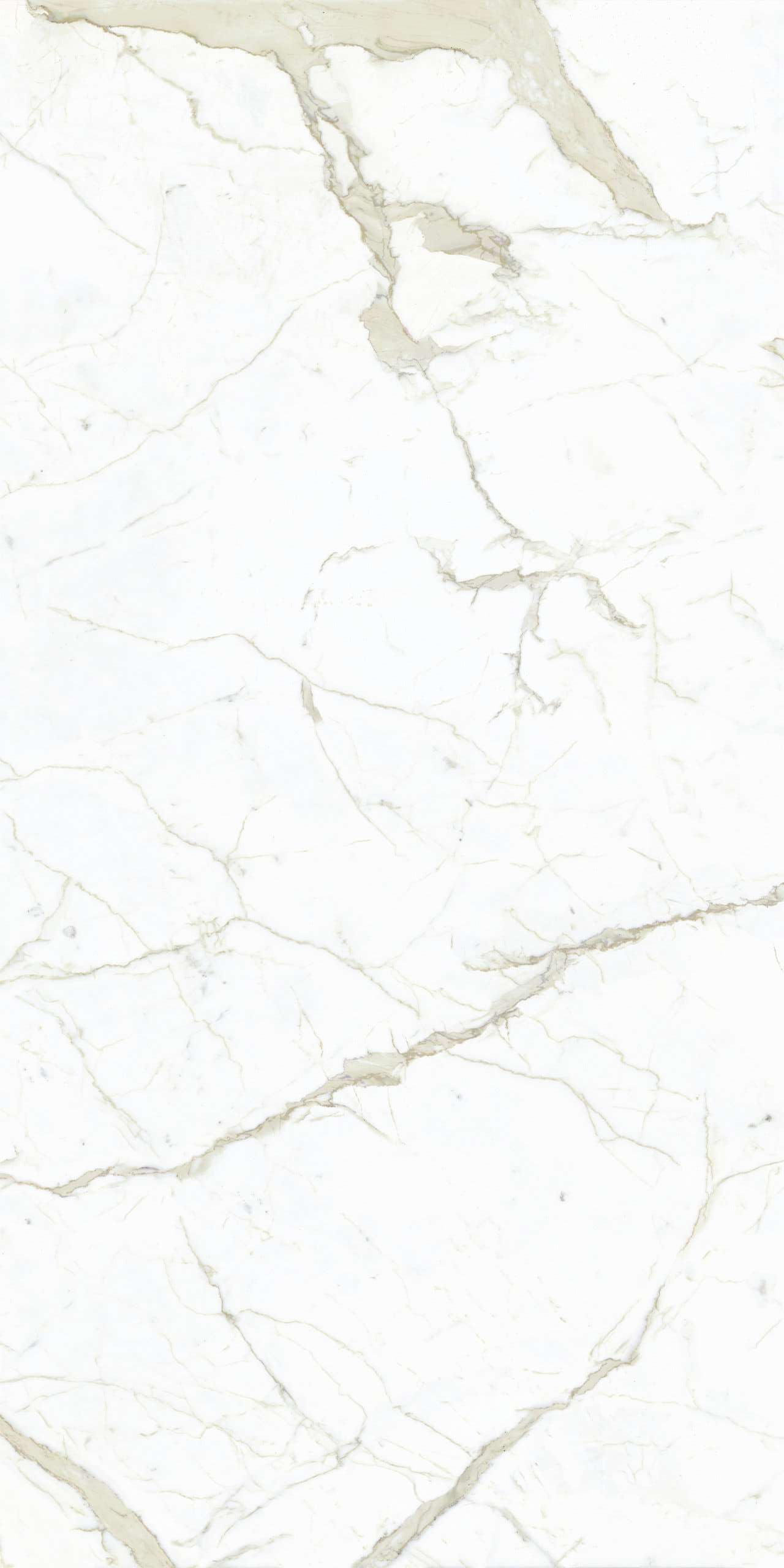 LU628389  На пол Select Calacatta White Lucido 8mm 60x120