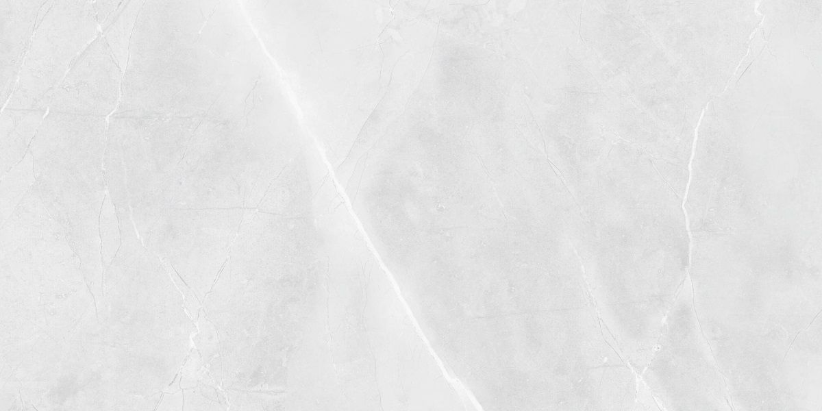 R_PR2015 На пол Floris Bianco Polished 60x120 - фото 3