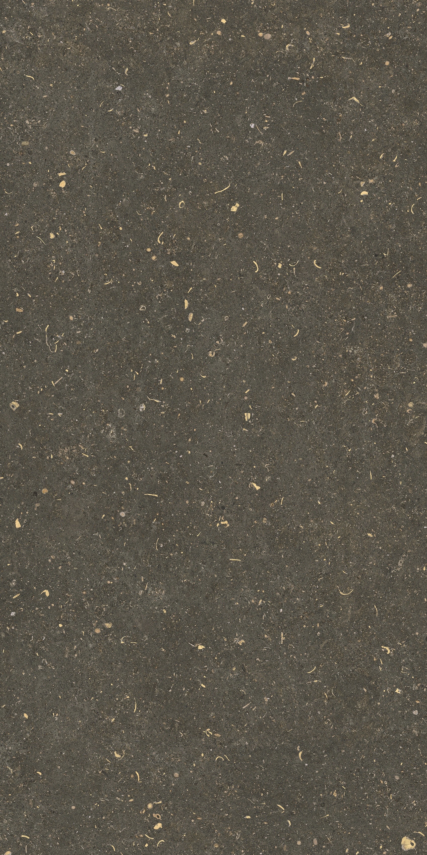 785483 На пол Rinascenza Arena Platino Matte 60x120 - фото 9