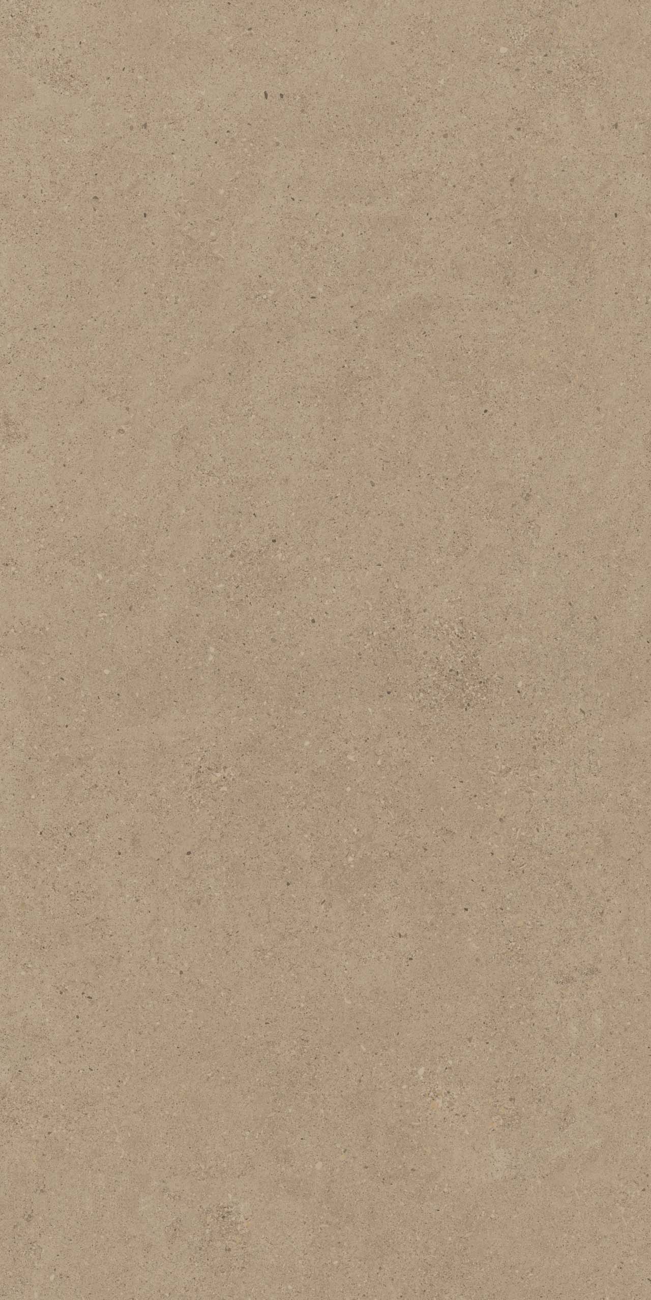 CE01/NR_R9/60x120x9R/GW На пол Спенс CE01 Темно-бежевый Структурированный Рект 60x120x9 - фото 5