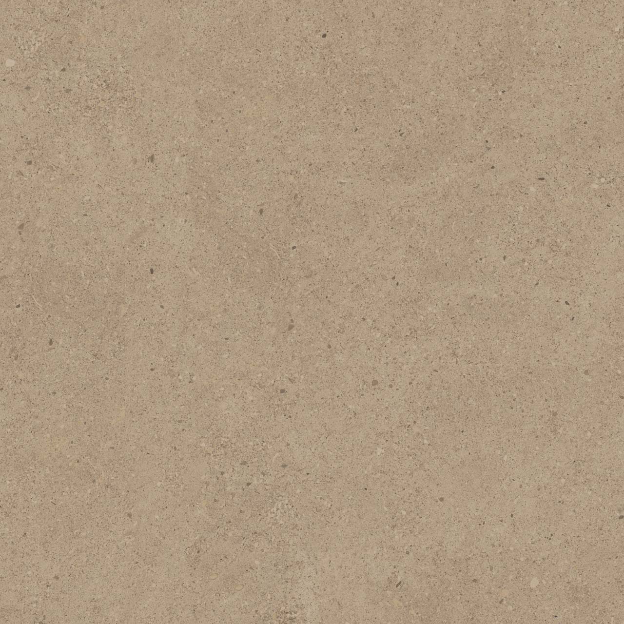 CE01/NR_R11/60x60x20R/GW На пол Спенс CE01 Темно-бежевый Структурированный Рект 60x60x20 - фото 3