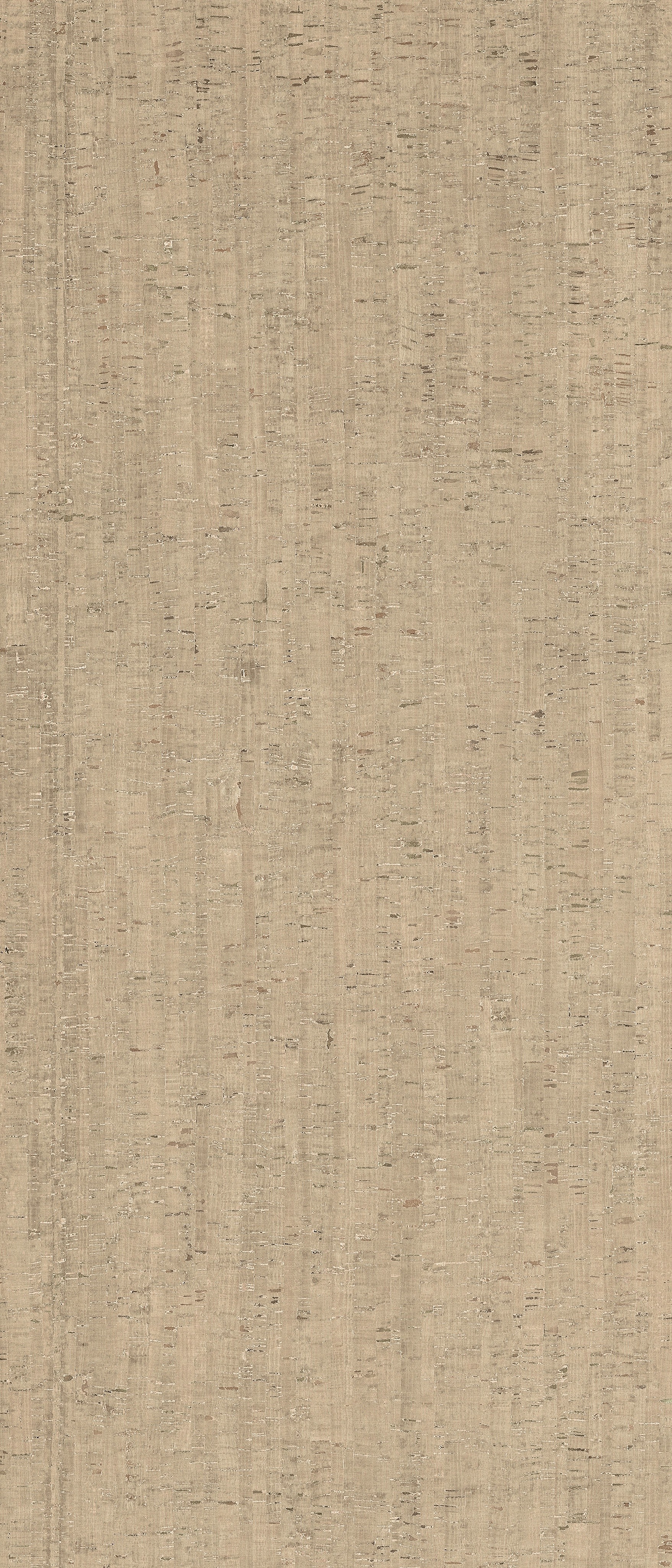 785588 На пол Rinascenza Modulo Conchiglia Matte 6mm 120x280 - фото 3