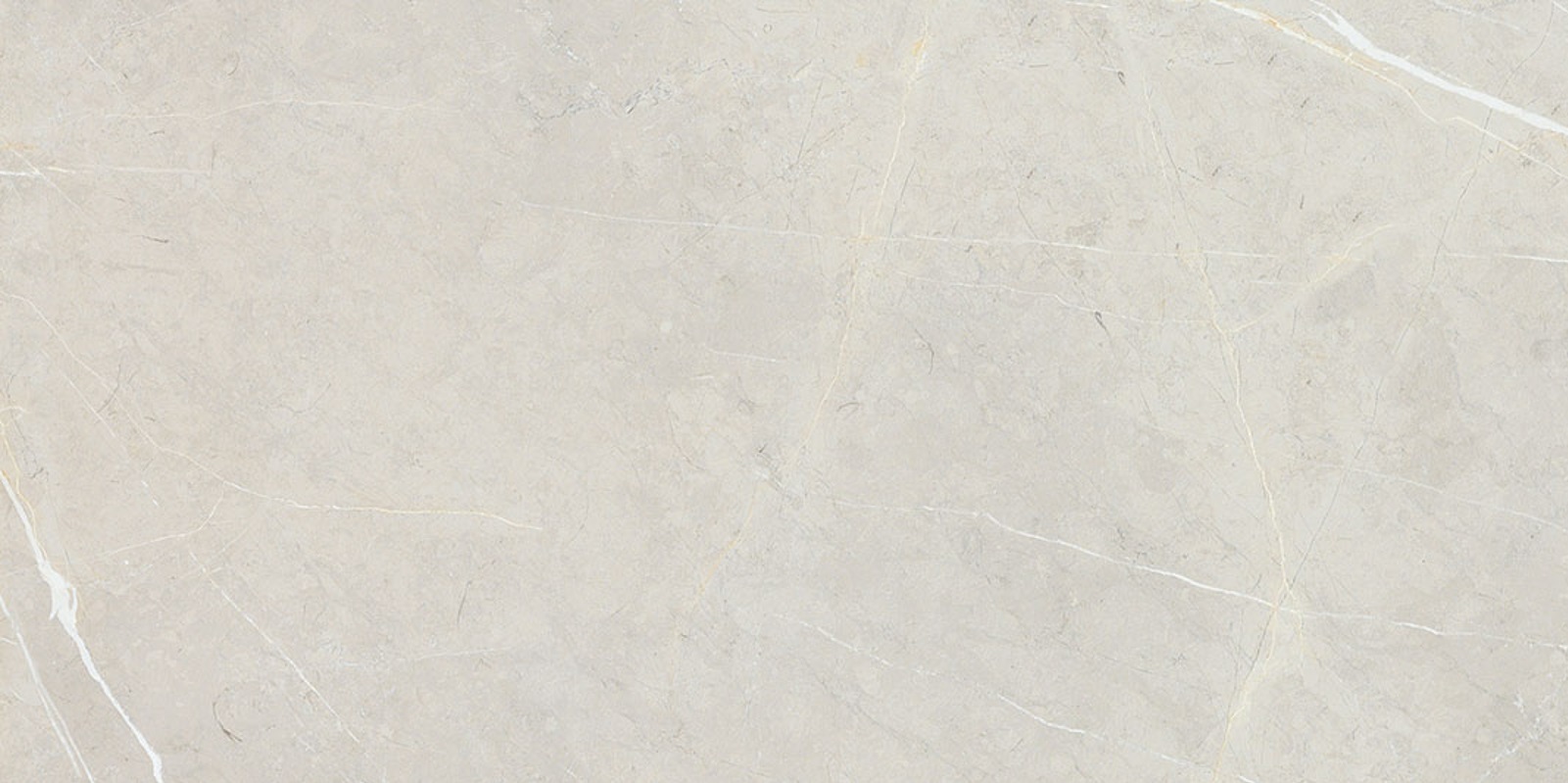 BB612NTT9101P На пол Bright And Shiny BB612NTT9101P - фото 2