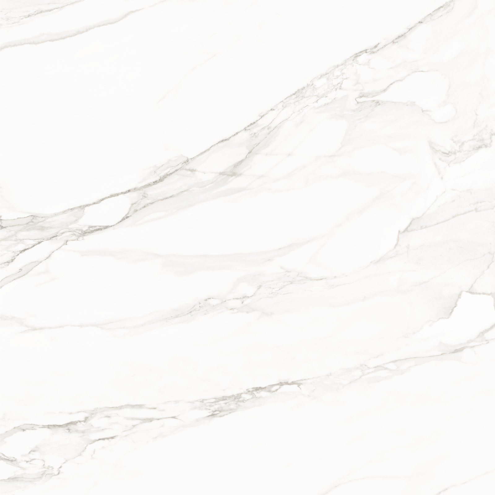 8080TRL00M На пол Trend Line Calacatta матовый 800x800 - фото 3