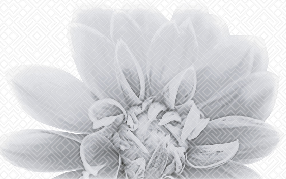 010301001886 Декор Камелия Чёрный 03 25х40