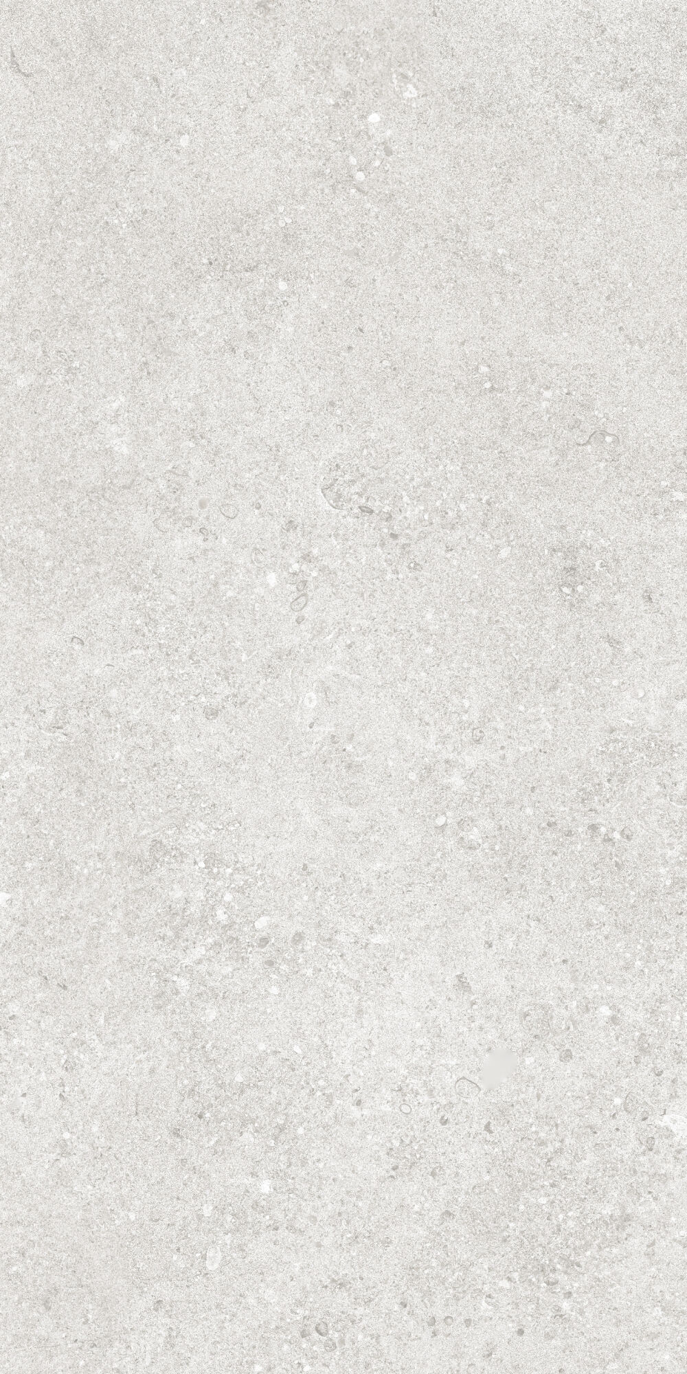 36904 На пол Cluny Silver 4D/50X100X2/A/R 50x100 - фото 5