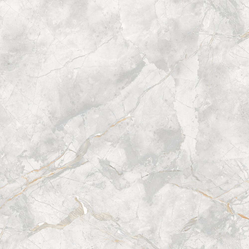 166687 На пол Elison Polished 60x60 - фото 7