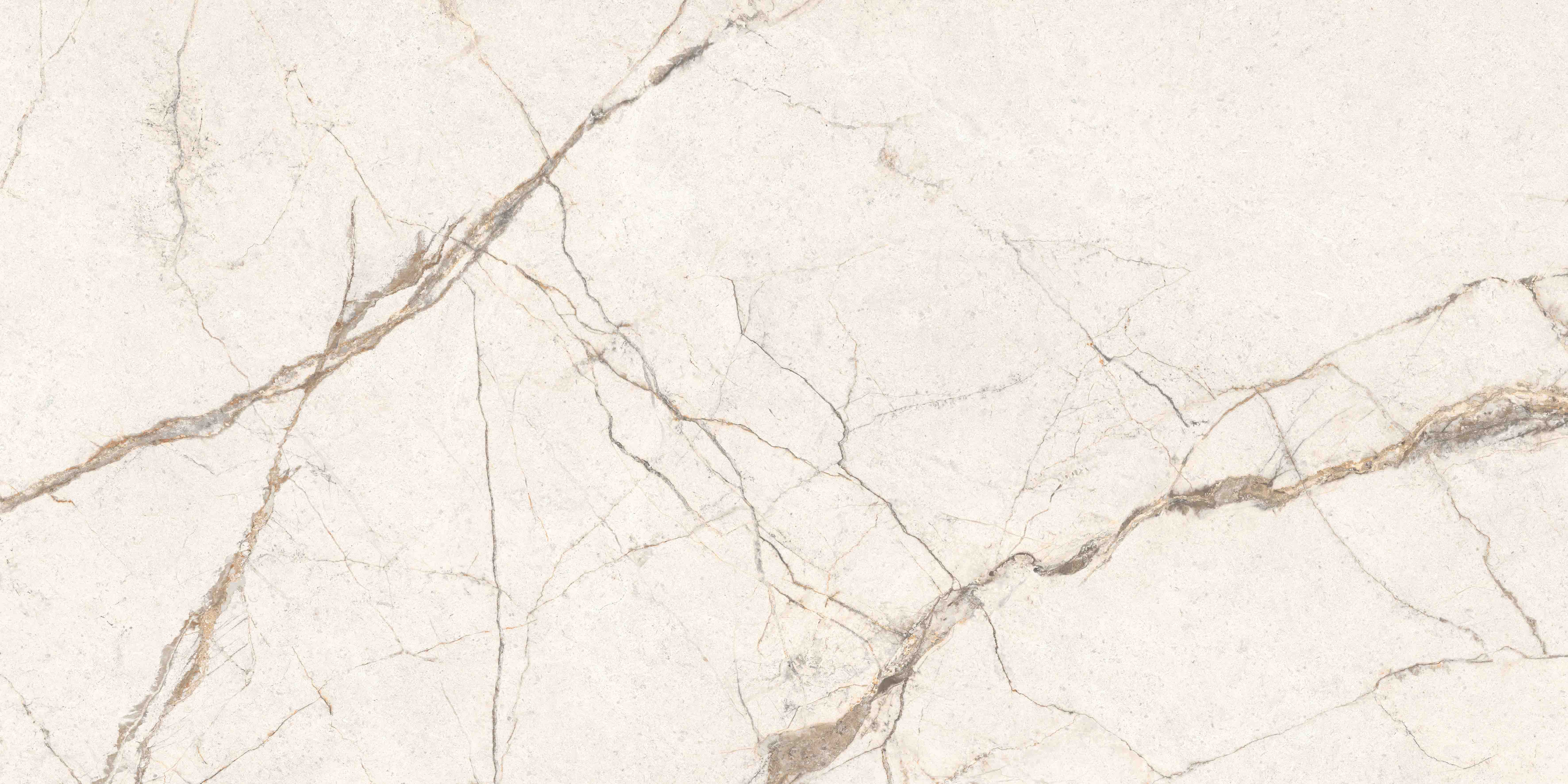 K958001R0001VTER На пол SilverRoot Слоновая Кость Матовый R10A Ректификат 60x120 - фото 8