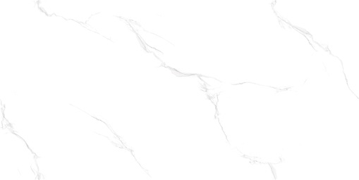 NSC4083 На пол Porcelain Tile 4083 Белый глянцевый 40x80