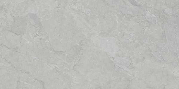 P0008433 На пол Taran Grey Digital Soft 60x120 - фото 3