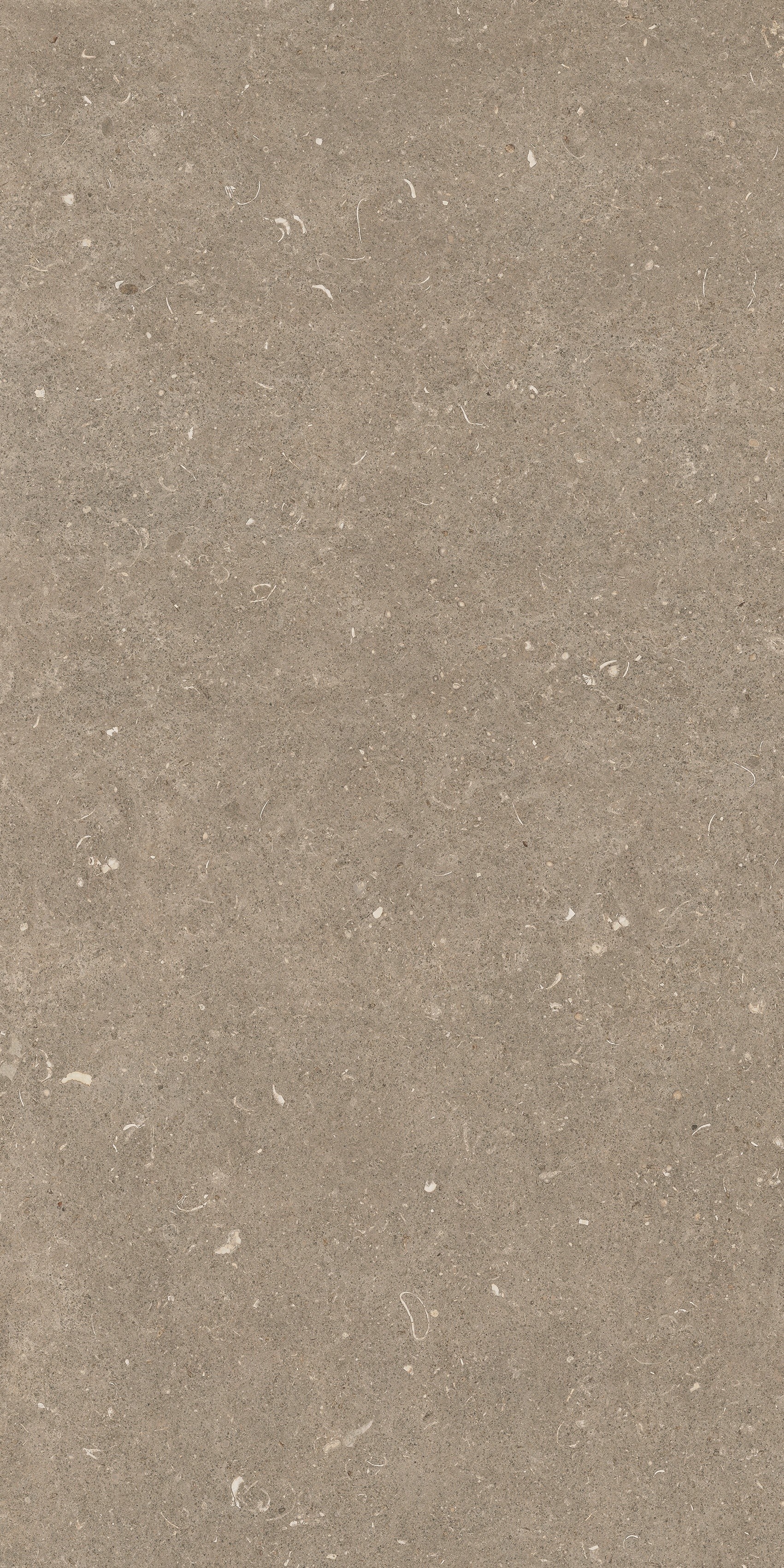 785482 На пол Rinascenza Arena Pietra Matte 60x120 - фото 10