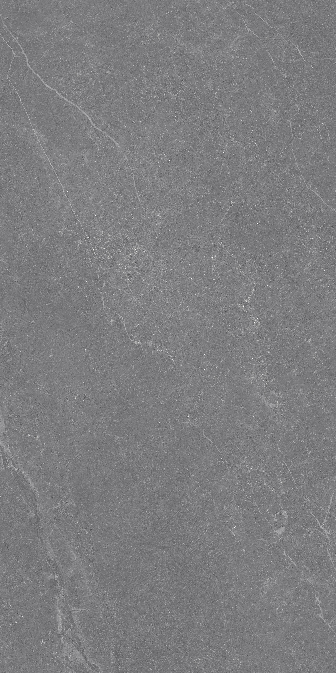 ZA-DJ12590 На пол Glazed 590 Карвинг 1200x600x9 - фото 3