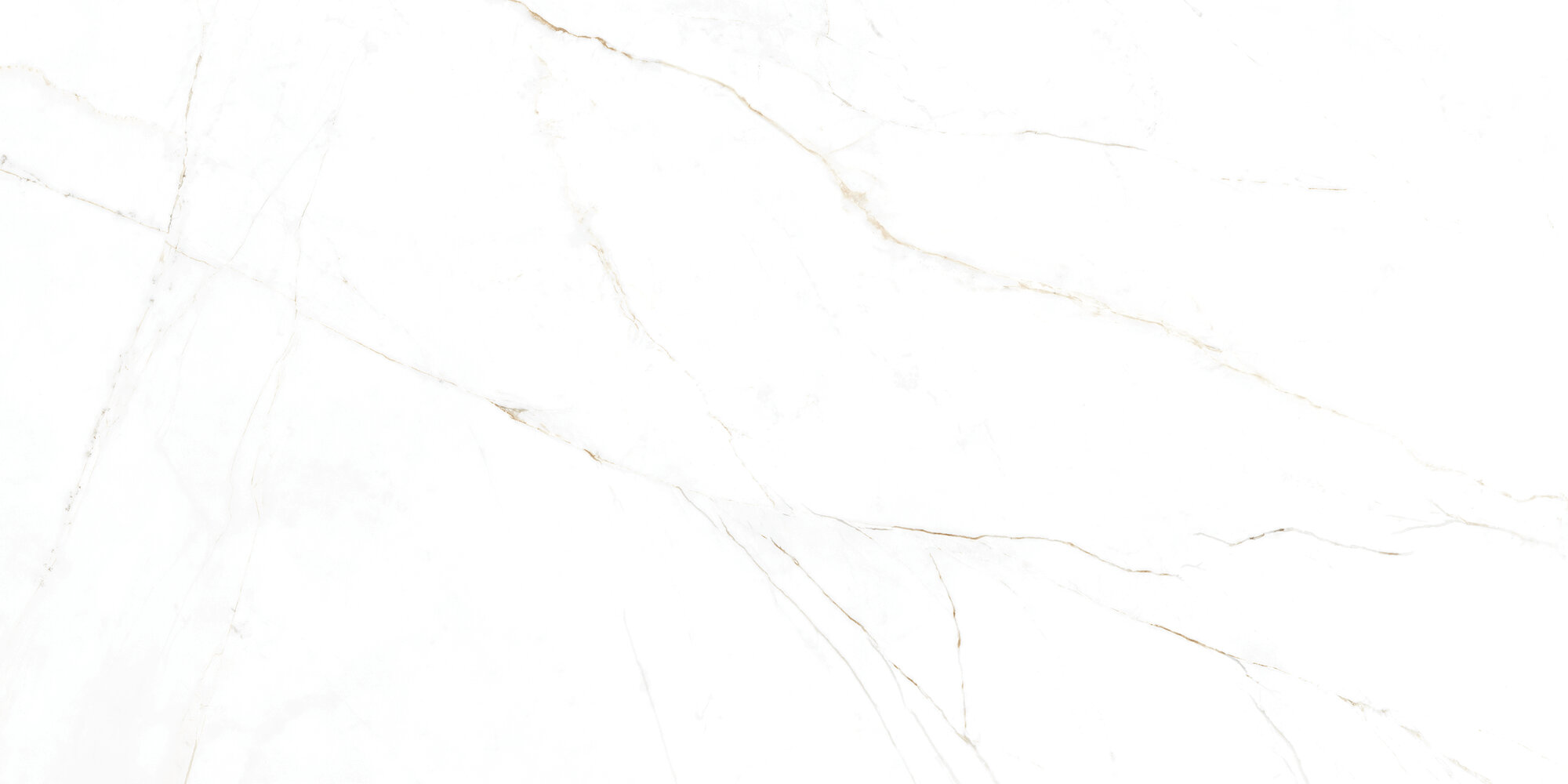 31741 На пол Museum Dual White EP 60x120 - фото 16