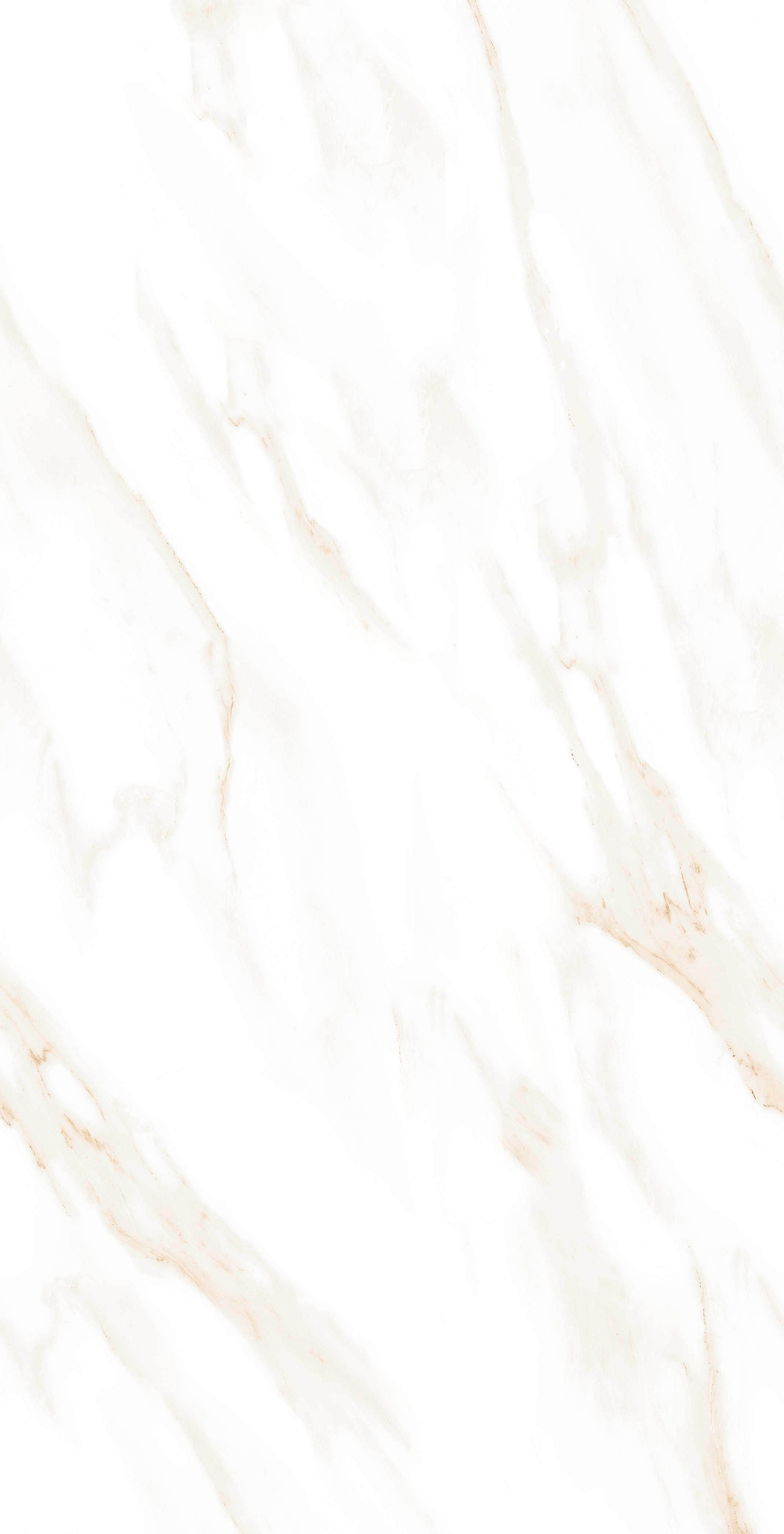 MOG102/PS_NC/60x120x9R/GW На пол Marble MOG102 White 120x60 Полированный Рект.