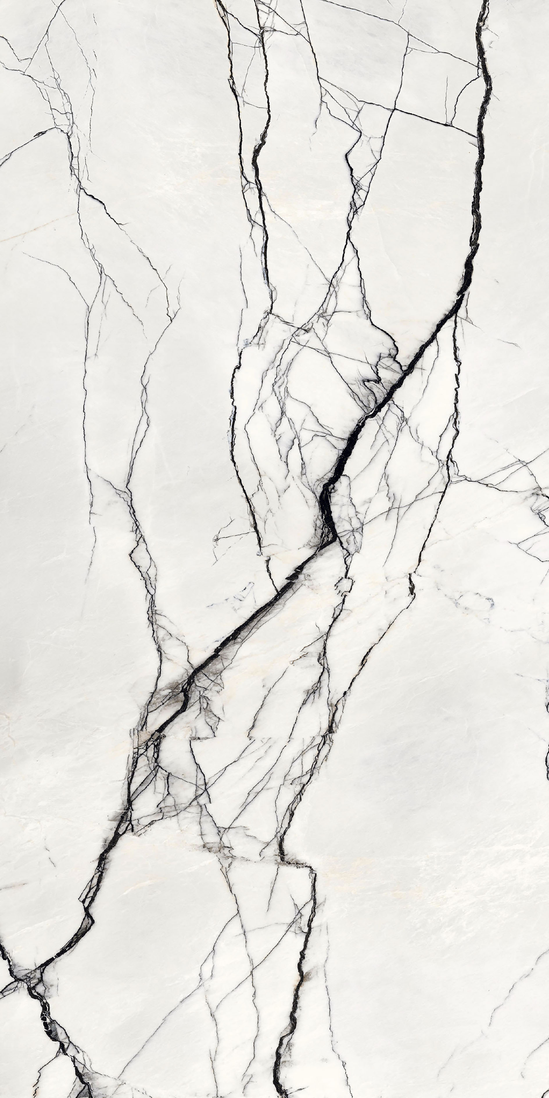 765503 На пол B and W Marble Breach High-Glossy 6mm 160x320 - фото 4