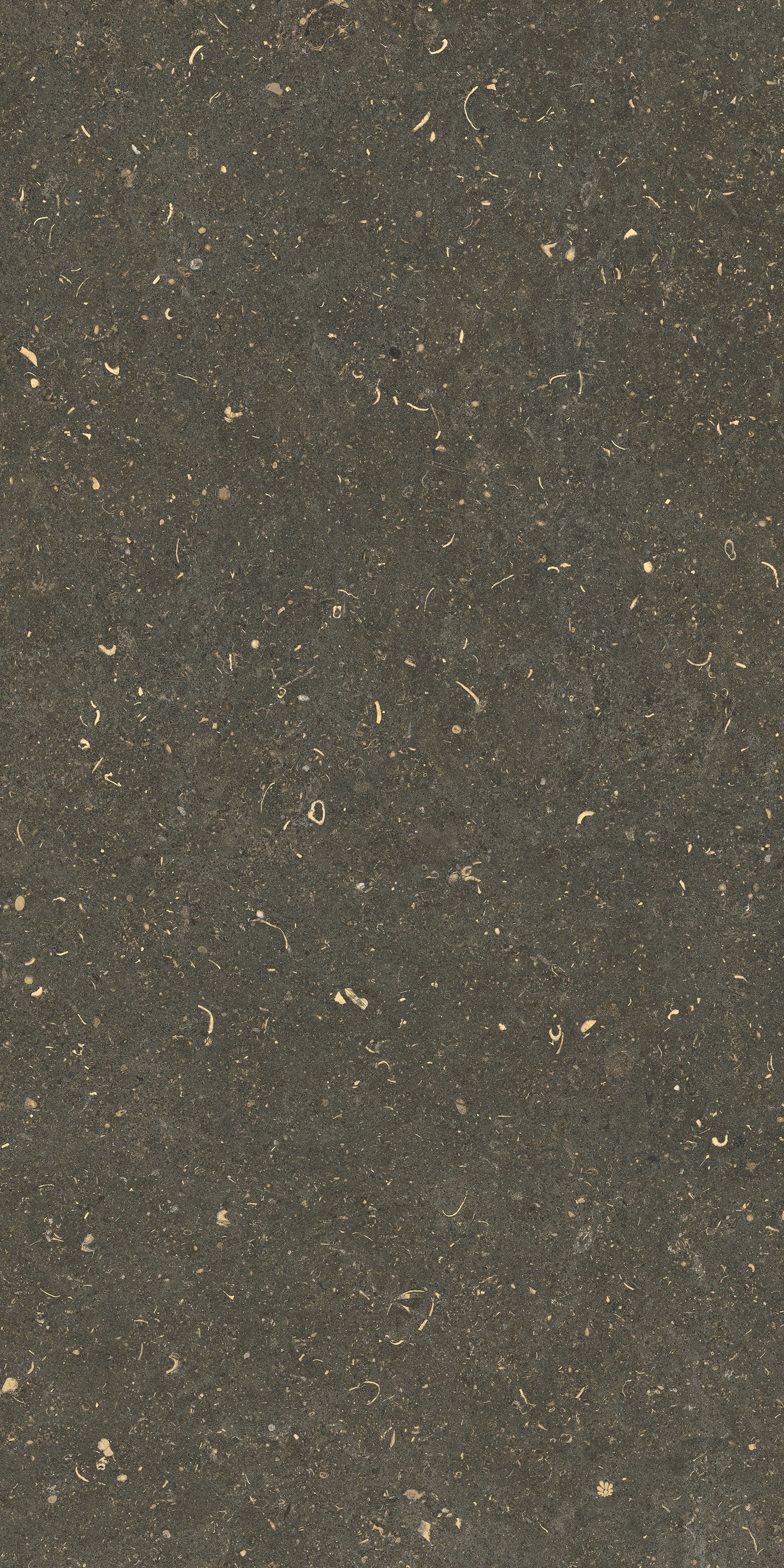 785483 На пол Rinascenza Arena Platino Matte 60x120 - фото 10