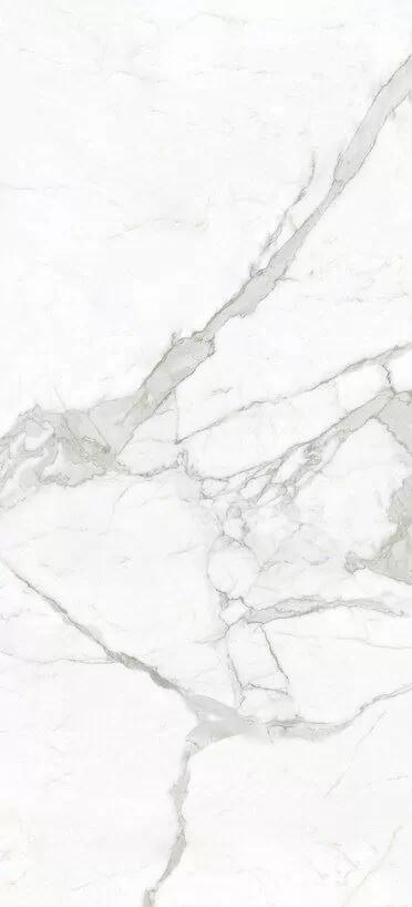 MN288CY271206 На пол Calacatta Bianco Bianco Polished 6mm