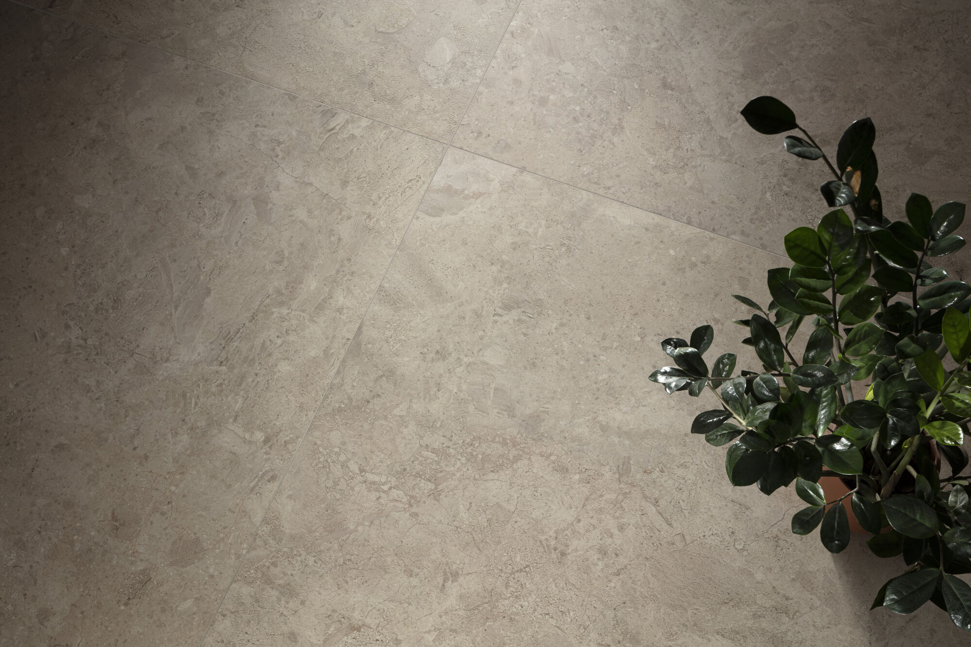 Peronda Ardara - фото 9