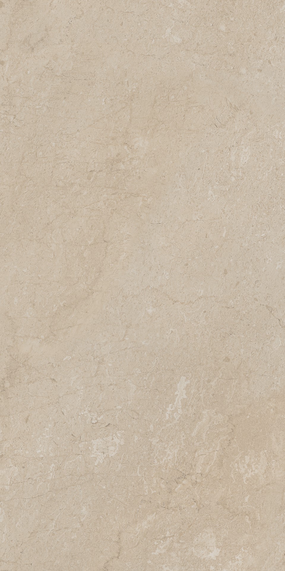 AEM01/NS_R9/60x120x9R/GW На пол Элемента Бежевый Неполированный Рект 60x120x9