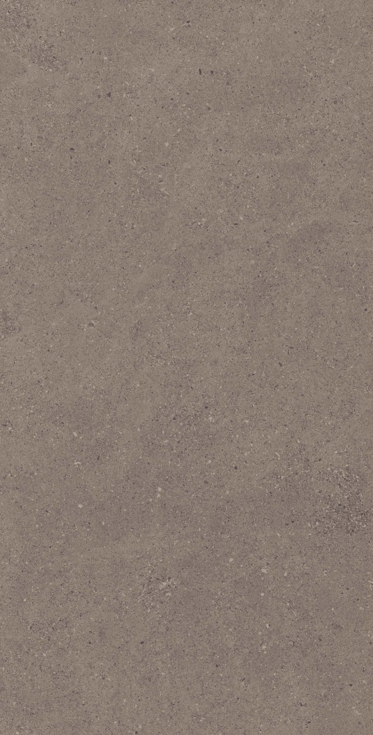 CE04/NR_R9/60x120x9R/GW На пол Спенс CE04 Темно-серый Структурированный Рект 60x120x9
