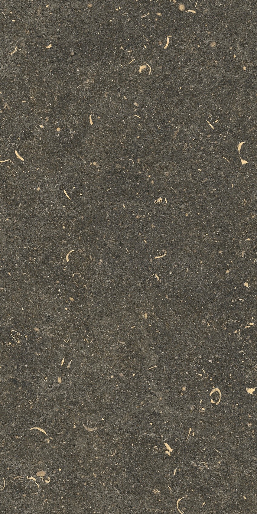 785491 На пол Rinascenza Arena Platino Matte 30x60 - фото 10