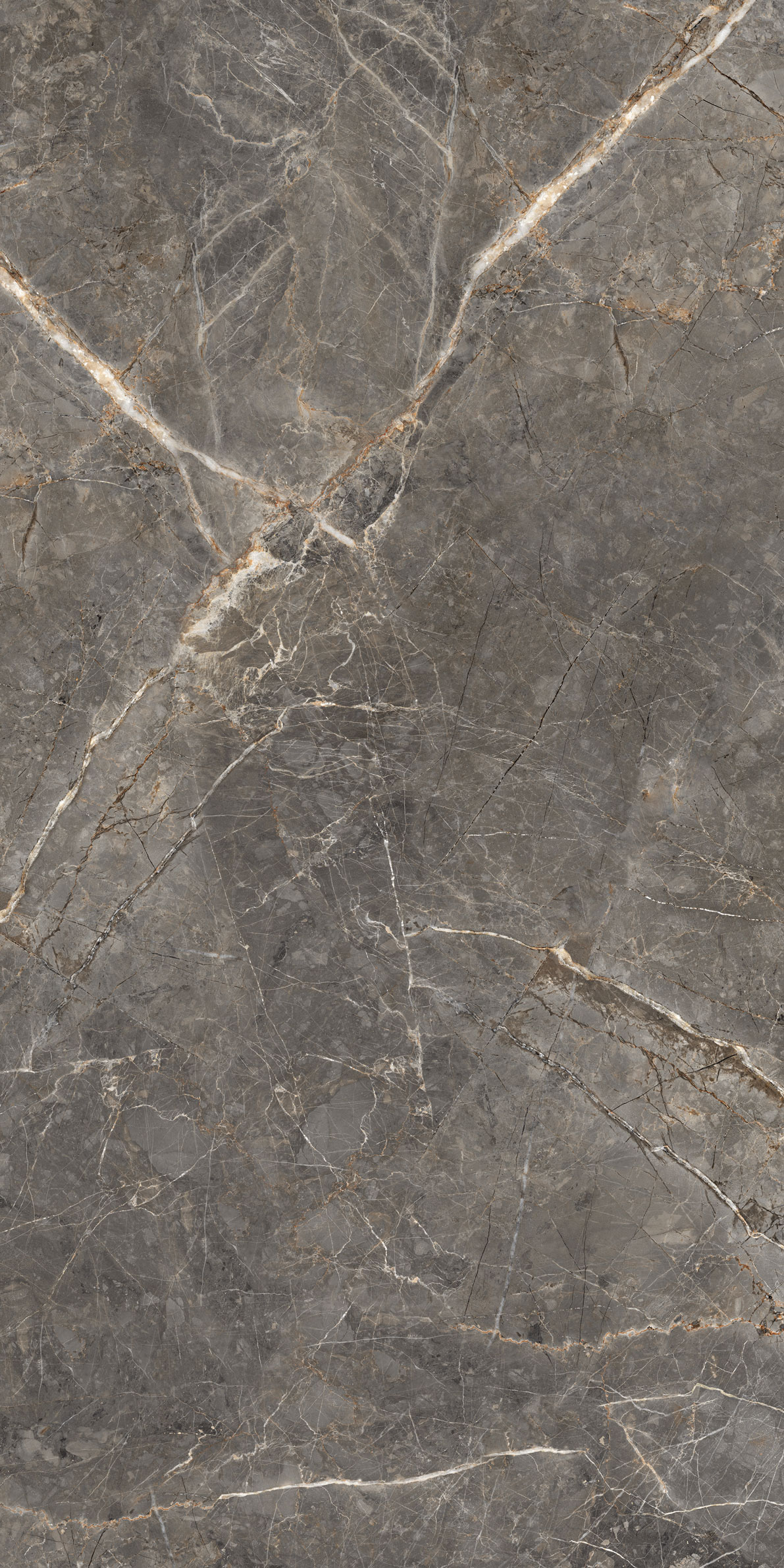 GT1206023109MGR На пол Salsa Темно-серый 60x120 - фото 9