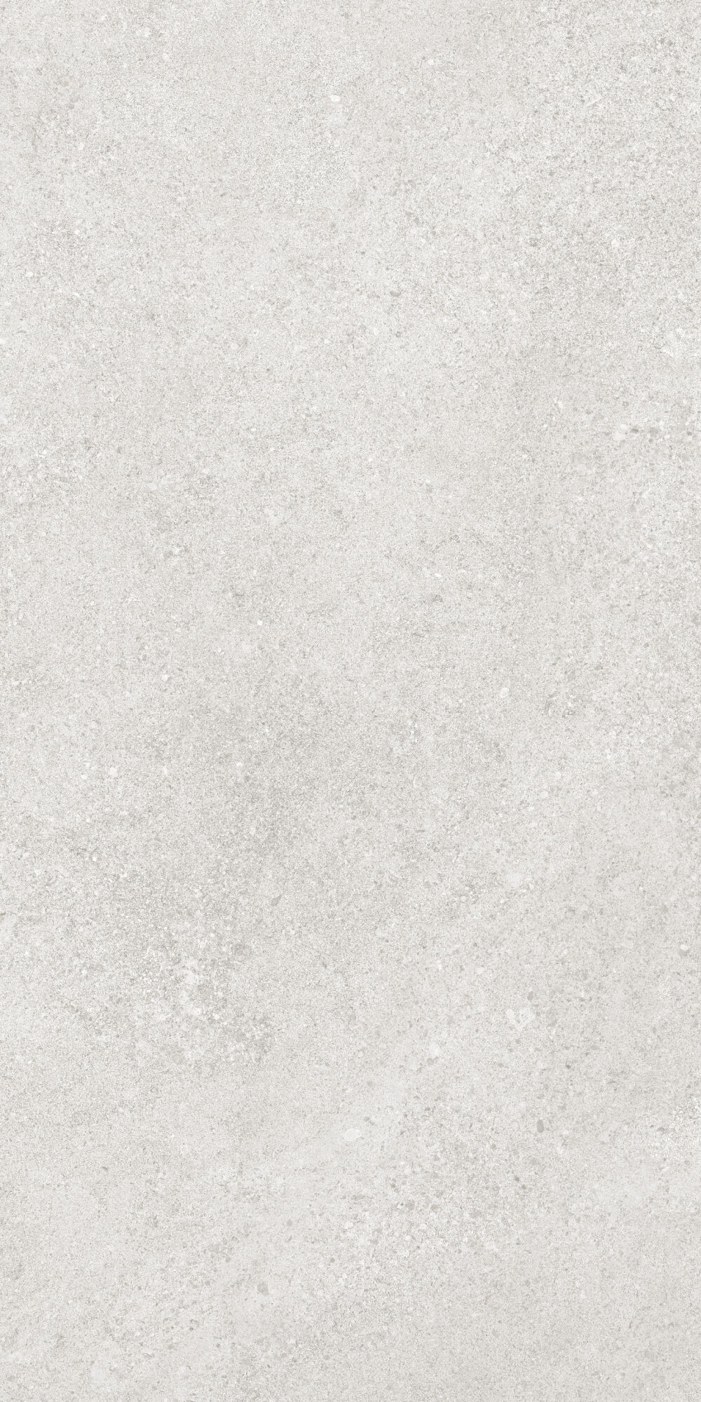 36904 На пол Cluny Silver 4D/50X100X2/A/R 50x100 - фото 8