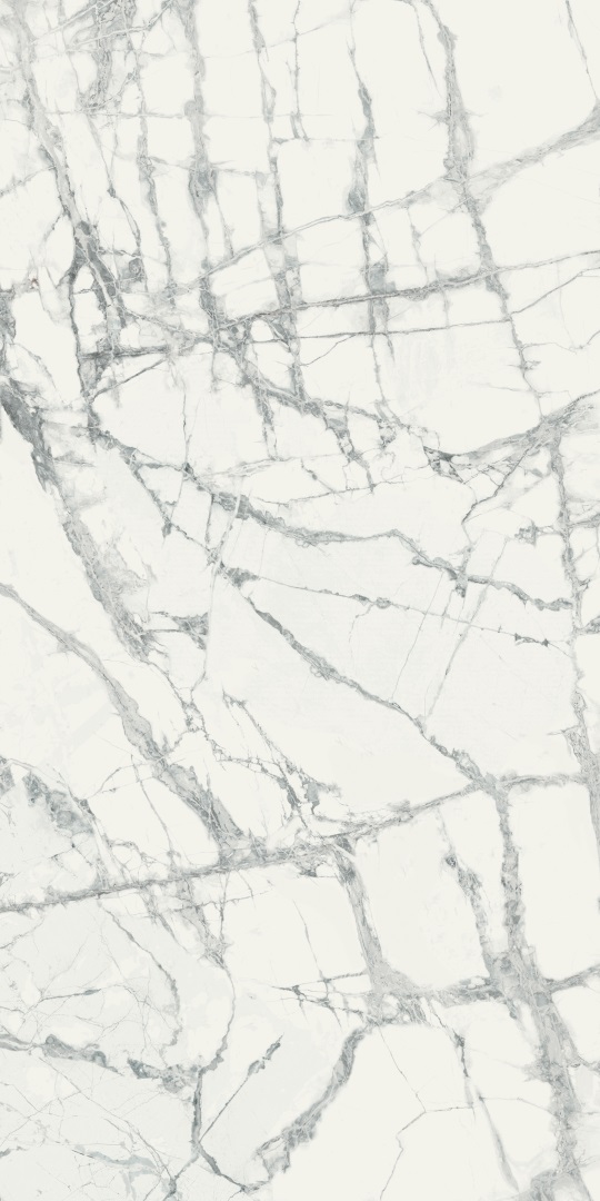 610010001922 На пол Charme Deluxe Invisible White  80x160 - фото 2