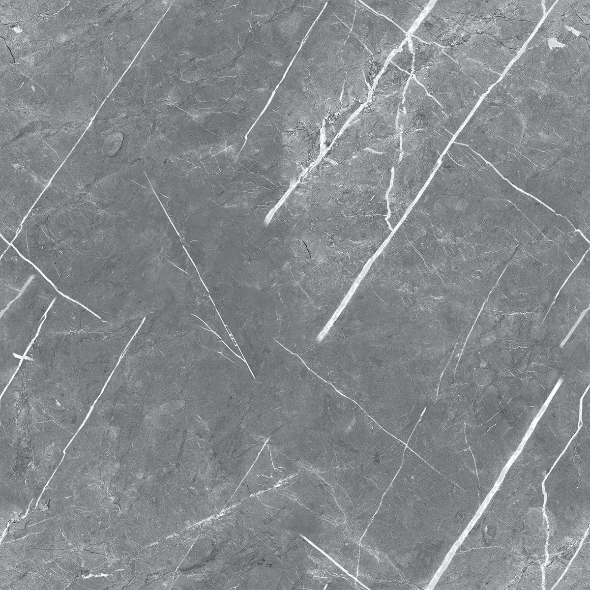 R_PR1019 На пол Carnico Grey Polished 60x60