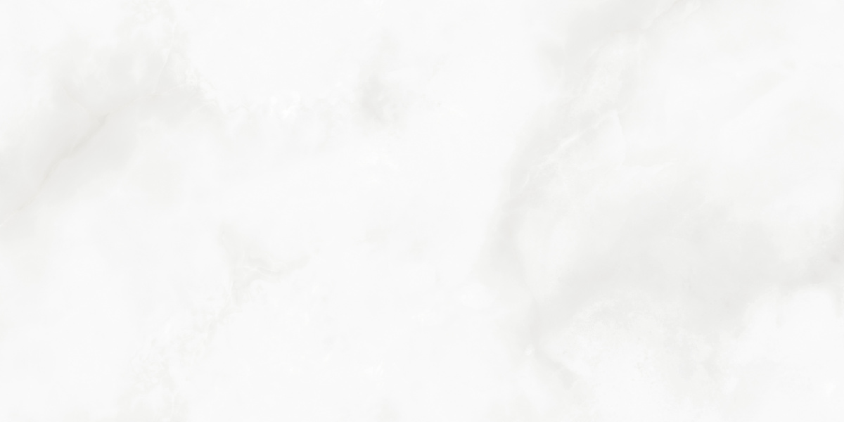 LP6012G0541R На пол Bernini Bianco белый глянцевые чернила 59.5х119.1 - фото 10