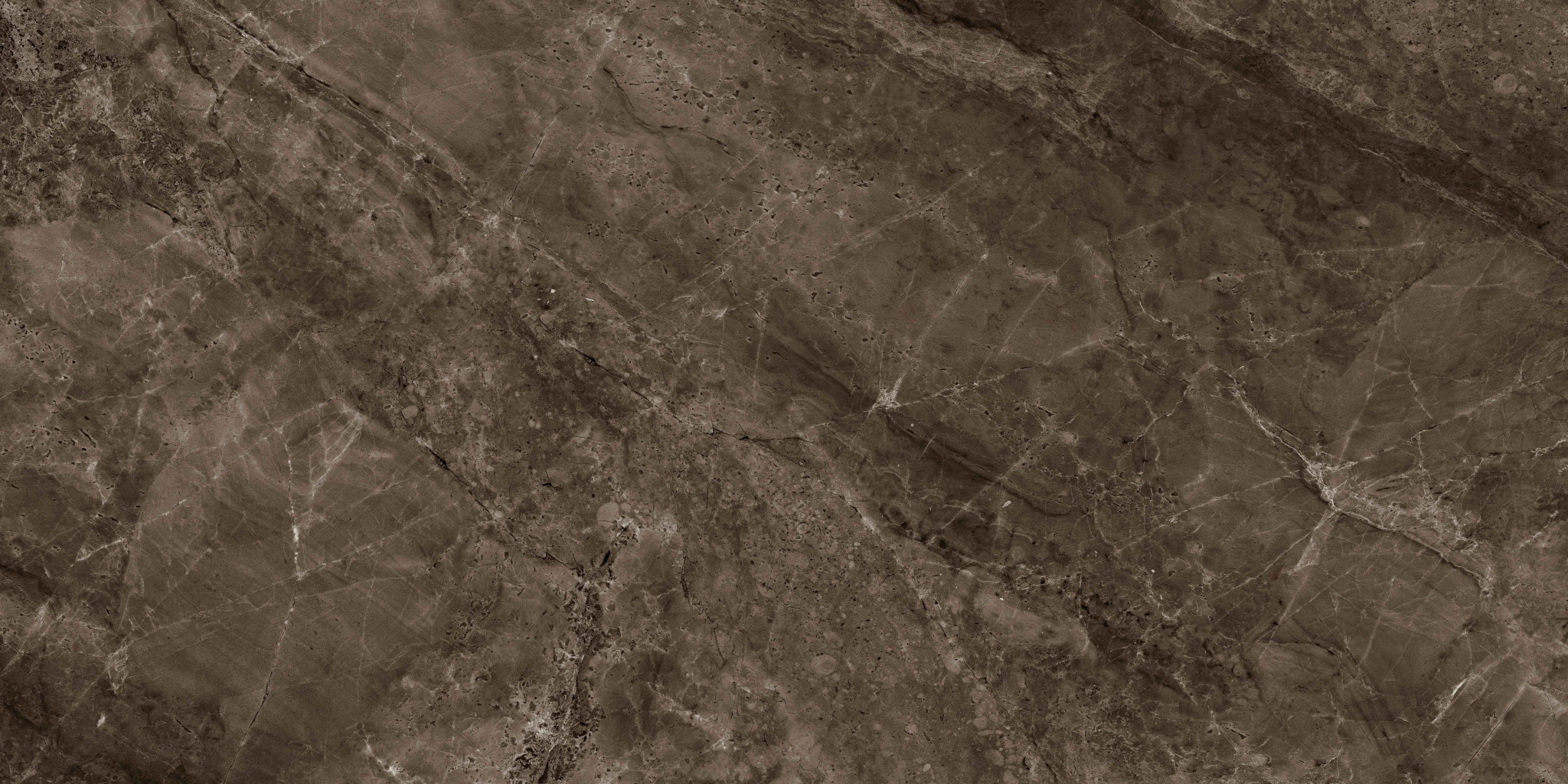 7930138705573 На пол Кармина/Carmina Коричневый Полированный 60x120 - фото 4