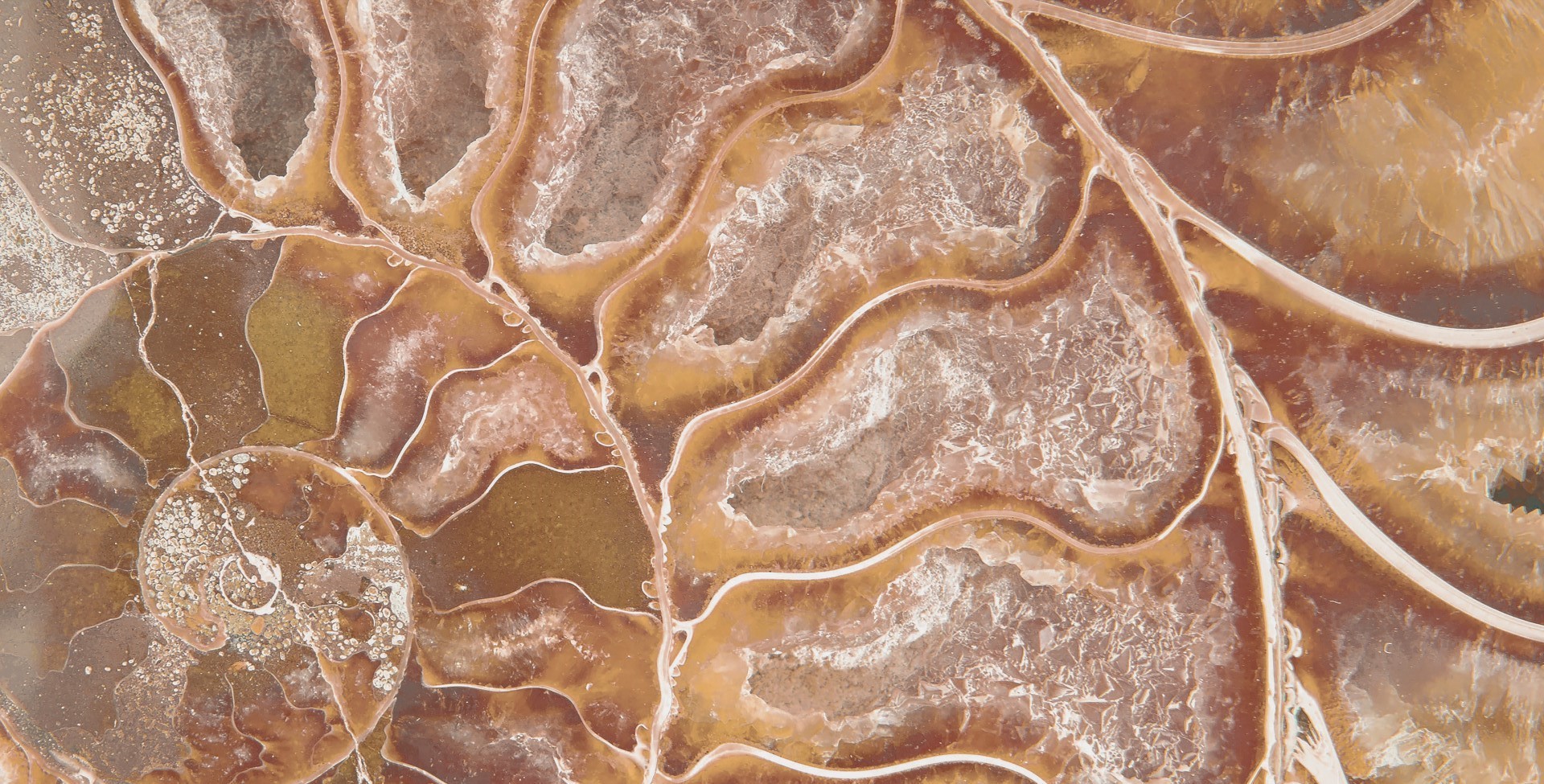 FM3366 На пол Natural Series Fossil Mix 33х66