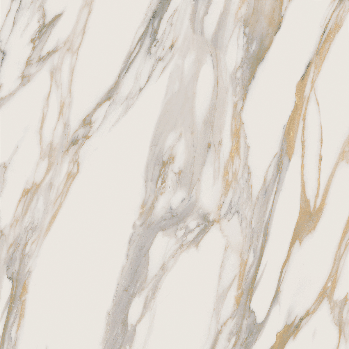 RM01/PS_NC/60x60x9R/GW На пол Miramare RM01 White Полированный 60x60x9 - фото 5