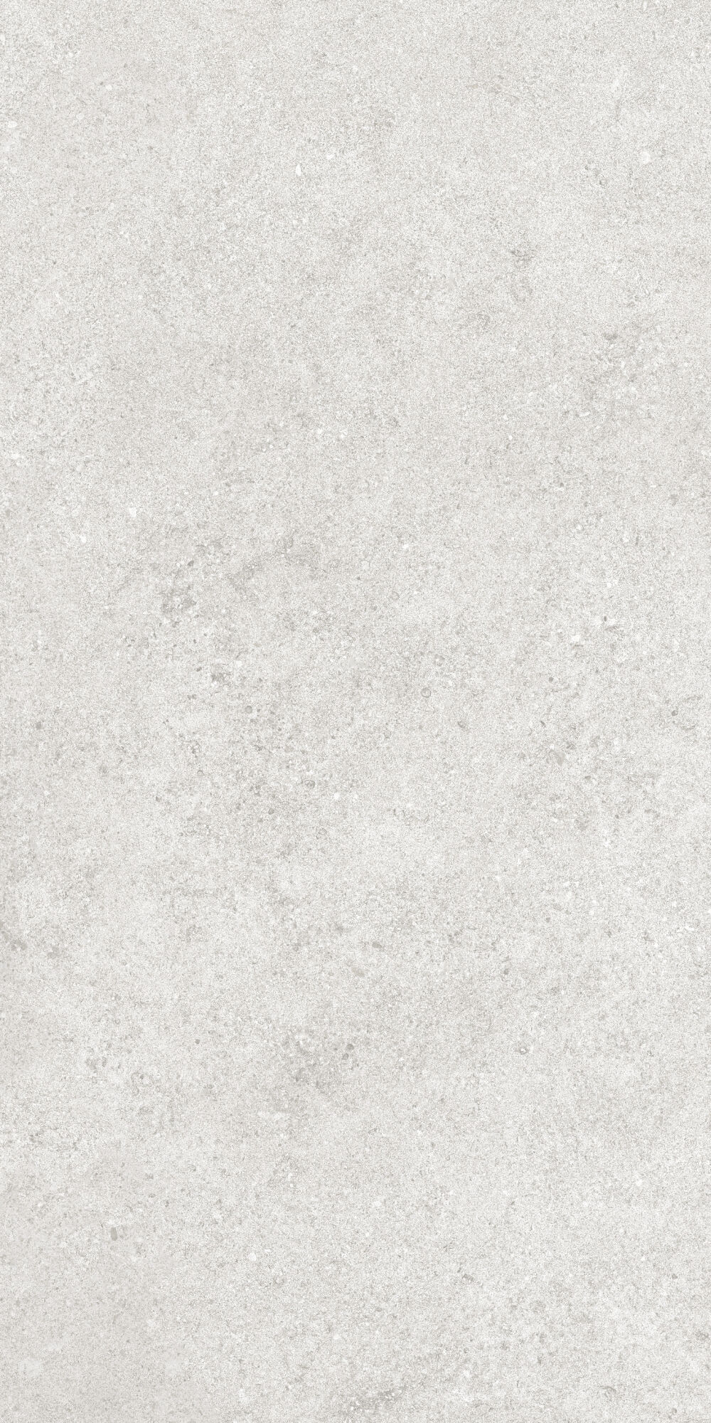 36904 На пол Cluny Silver 4D/50X100X2/A/R 50x100 - фото 18