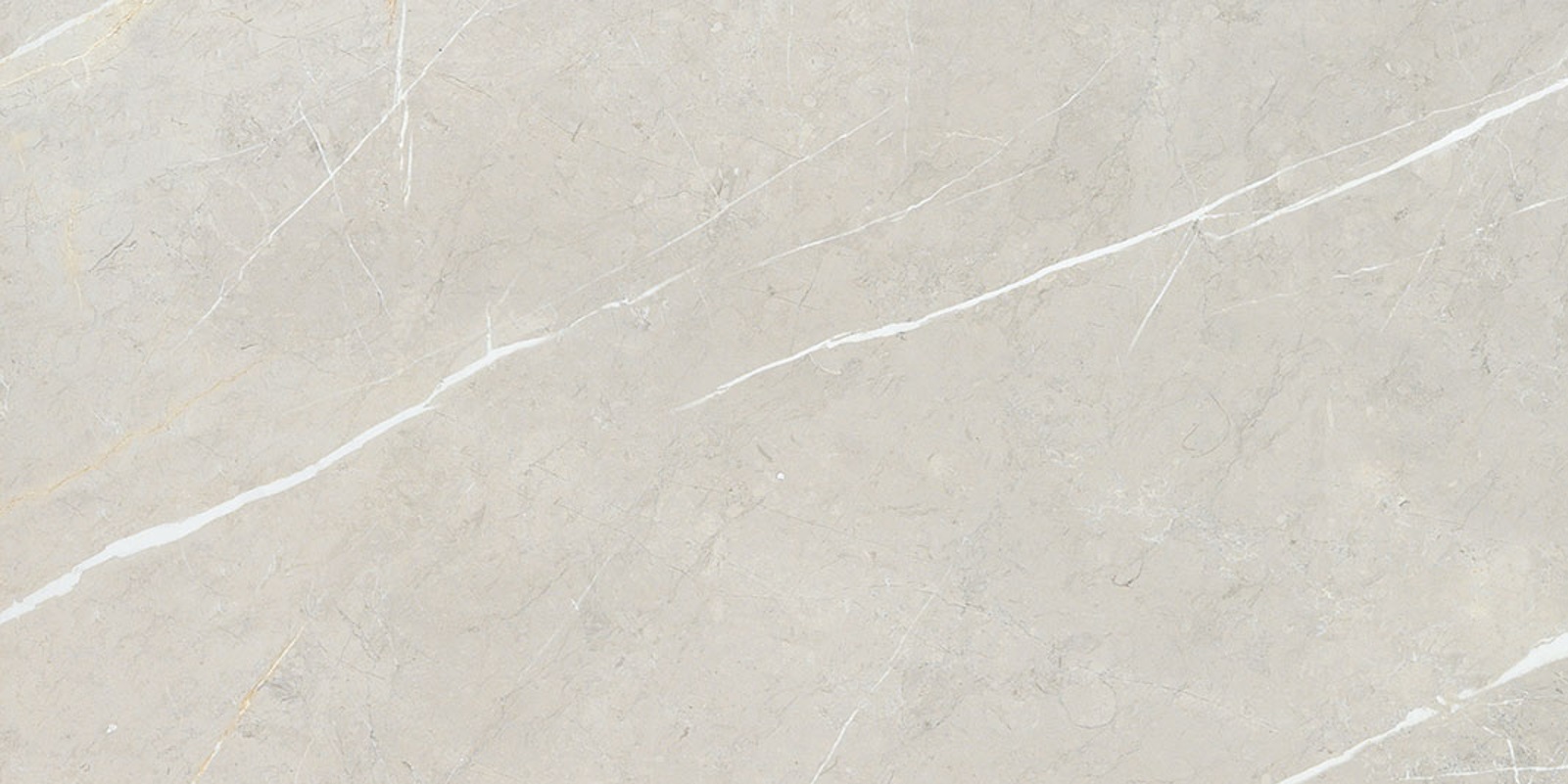 BB612NTT9101P На пол Bright And Shiny BB612NTT9101P - фото 5