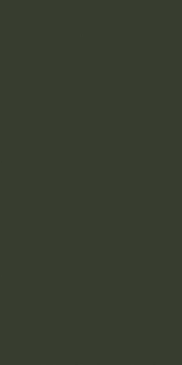 N100153 На пол Monotone Оливе Матовый 60x120