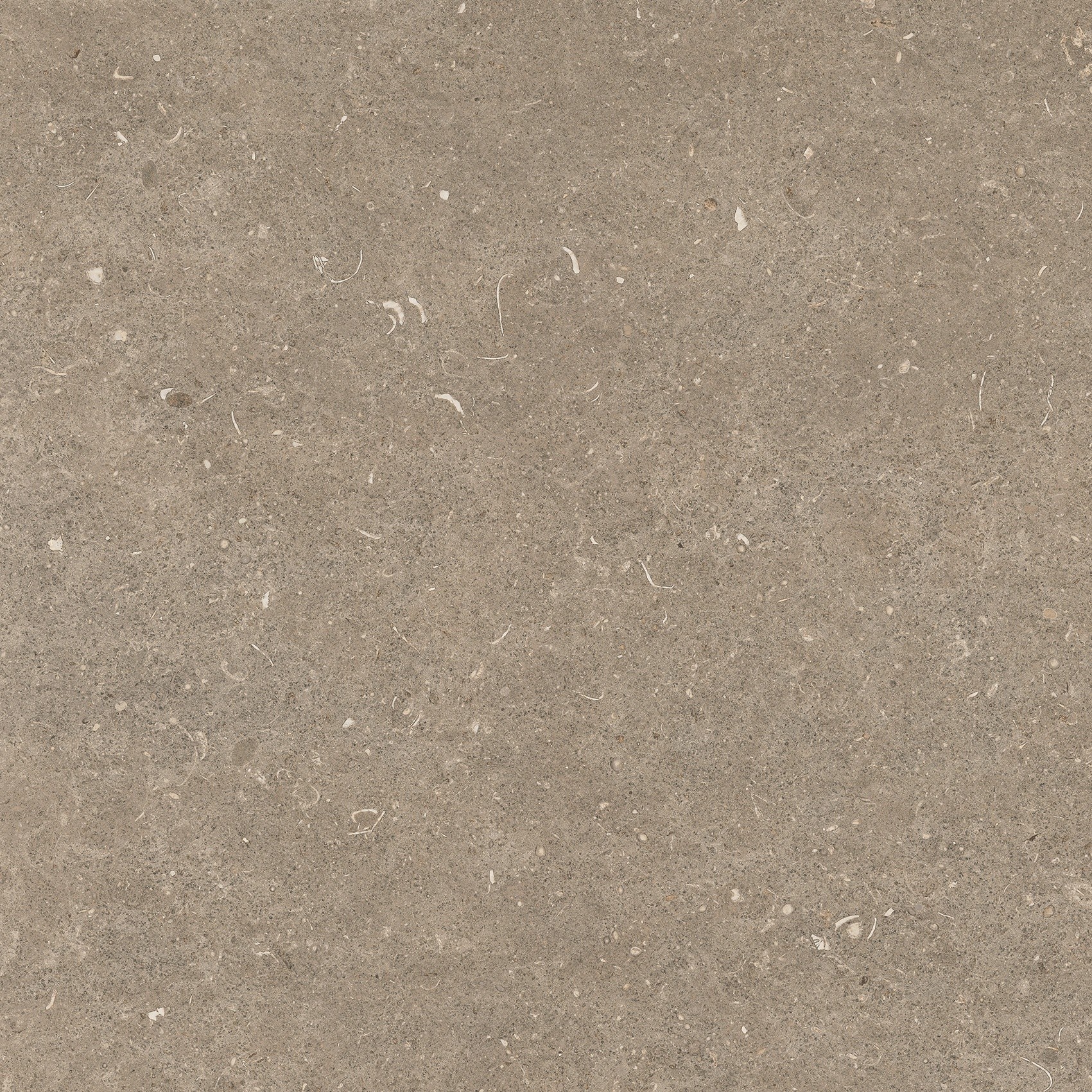 785486 На пол Rinascenza Arena Pietra Matte 60x60 - фото 3